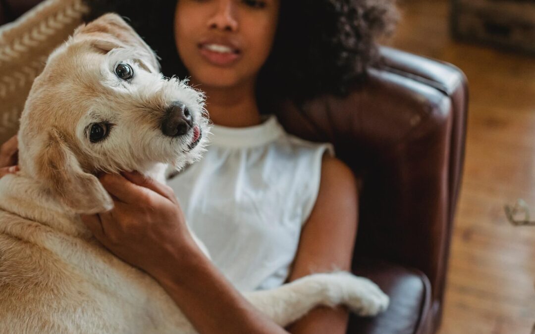 CBD Dog Treats for Anxiety: Do They Work?